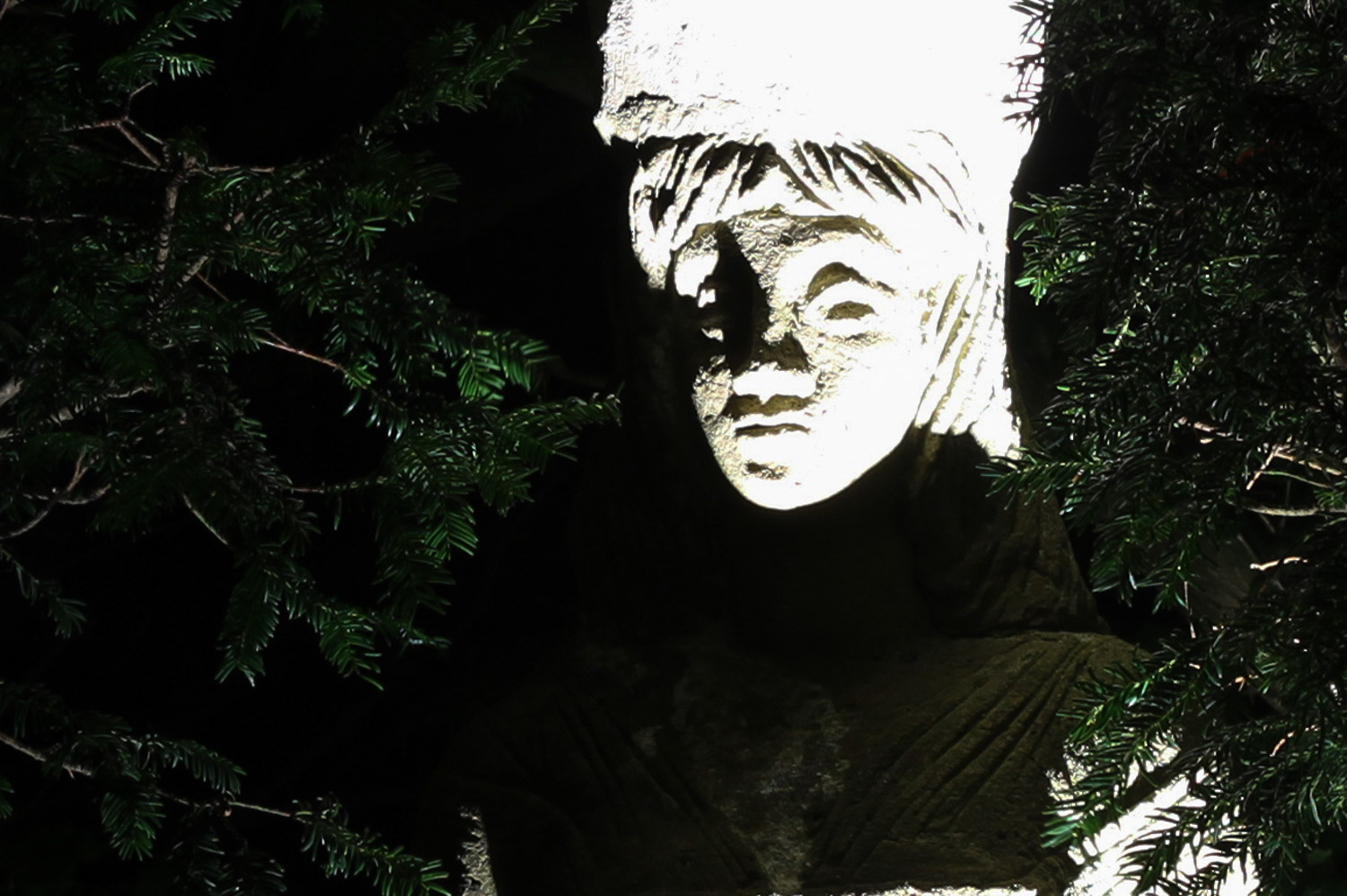 Charlston garden lighting