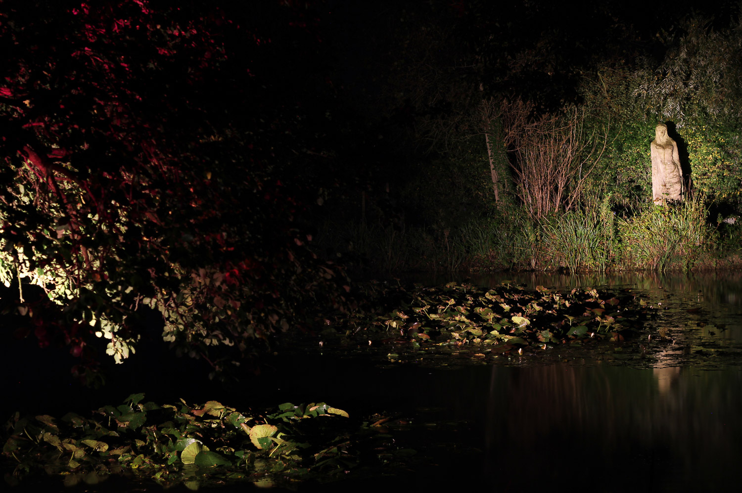 Charlston garden lighting